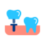 Crowns & Bridges Icon