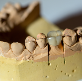 Dental Lab Sub 1