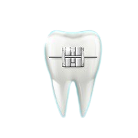 Orthodontist