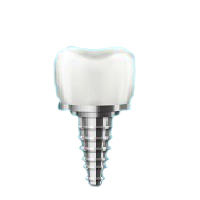 Periodontist